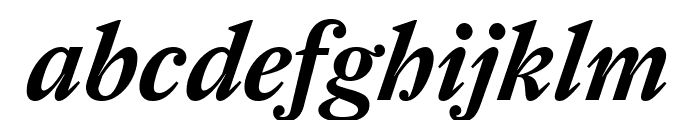 Farnham Text Semi Bold Italic Font LOWERCASE