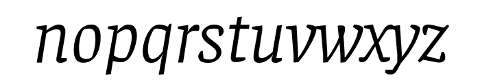 Faustina Light Italic Font LOWERCASE
