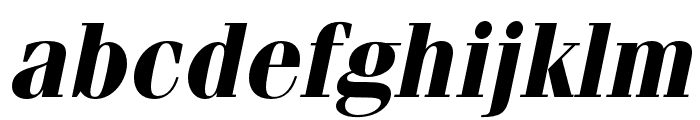 Fenice Pro ITC Bold Oblique Font LOWERCASE