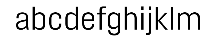 Field Gothic No.41 Light Cond Font LOWERCASE