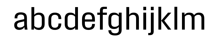 Field Gothic No.42 Reg Cond Font LOWERCASE