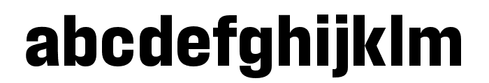 Field Gothic No.55 Bold Compact Font LOWERCASE