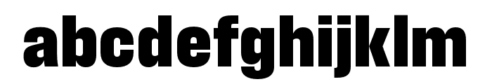 Field Gothic No.66 XBold Font LOWERCASE