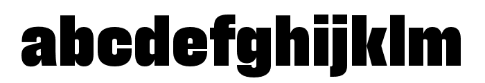 Field Gothic No.67 XXBold Font LOWERCASE