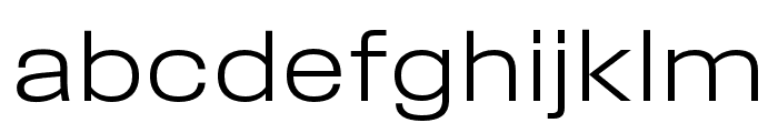 Field Gothic No.71 Light Wide Font LOWERCASE