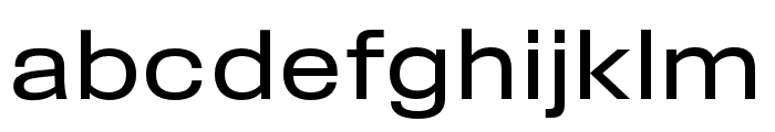 Field Gothic No.72 Reg Wide Font LOWERCASE