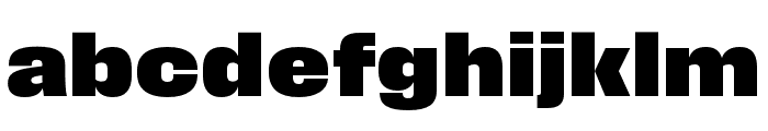 Field Gothic No.76 XBold Wide Font LOWERCASE