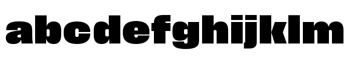 Field Gothic No.77 XXBold Wide Font LOWERCASE