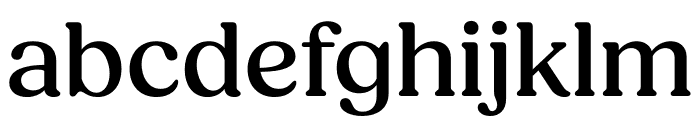 Fields Medium Font LOWERCASE