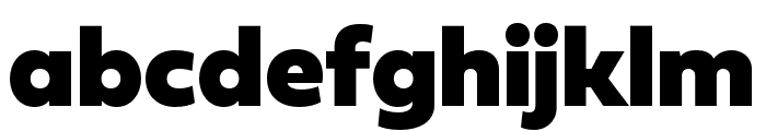 Fieldwork Geo Black Font LOWERCASE