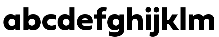 Fieldwork Geo Bold Font LOWERCASE