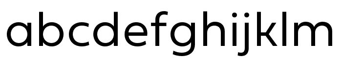 Fieldwork Geo Light Font LOWERCASE