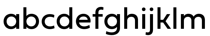 Fieldwork Geo Regular Font LOWERCASE