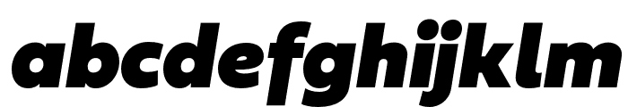 Fieldwork Italic Fat Font LOWERCASE