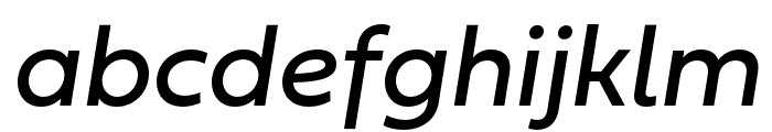 Fieldwork Italic Regular Font LOWERCASE