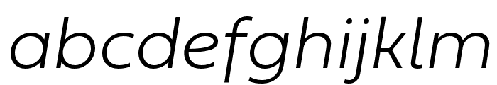 Fieldwork Italic Thin Font LOWERCASE