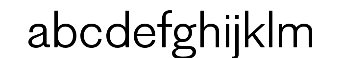 Figgins Sans Regular Font LOWERCASE