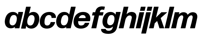 Forma DJR Display Bold Italic Font LOWERCASE
