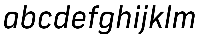 Frank New Regular Italic Font LOWERCASE