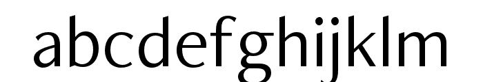 FreightNeo Pro Book Font LOWERCASE