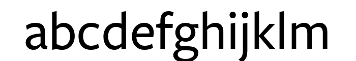 FreightSansCmpPro Med Font LOWERCASE