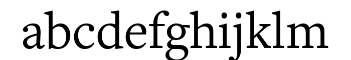 FreightText Pro Book Font LOWERCASE