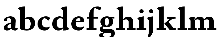 Garalda Bold Font LOWERCASE