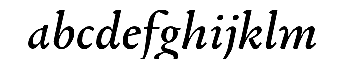 Garalda Medium Italic Font LOWERCASE