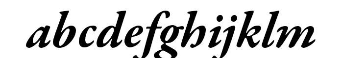 Garamond Premier Pro Bold Italic Subhead Font LOWERCASE