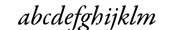 Garamond Premier Pro Medium Italic Subhead Font LOWERCASE