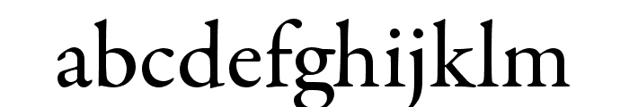Garamond Premier Pro Medium Subhead Font LOWERCASE