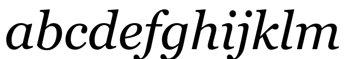 Georgia Pro Cond Italic Font LOWERCASE