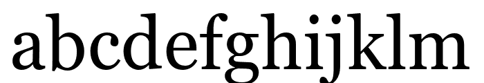 Georgia Pro Regular Font LOWERCASE