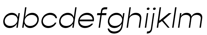 Gopher Light Italic Font LOWERCASE