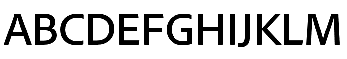 GriffithGothic ThinItalic Font UPPERCASE
