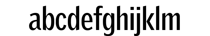 GriffithGothicCond Bold Font LOWERCASE