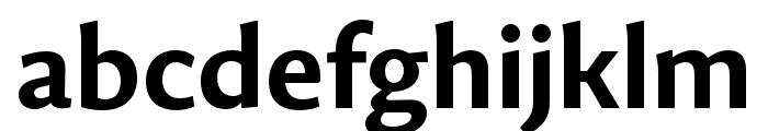 Guyot Sans Bold Font LOWERCASE