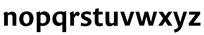 Guyot Sans Bold Font LOWERCASE