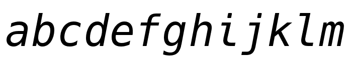 Hack Italic Font LOWERCASE