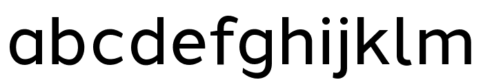 Halcom Variable Regular Font LOWERCASE