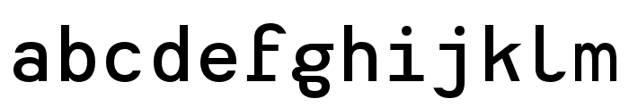 Heimat Mono SemiBold Font LOWERCASE