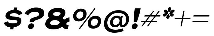 Henderson Sans Basic Bold Italic Font OTHER CHARS