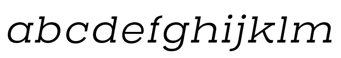 Henderson Slab Basic Light Italic Font LOWERCASE