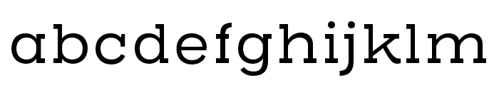 Henderson Slab Regular Font LOWERCASE