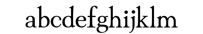 Hina Mincho Regular Font LOWERCASE