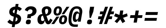 IBM Plex Mono Bold Italic Font OTHER CHARS