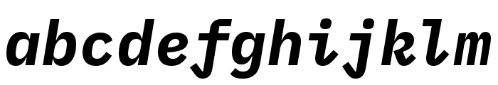 IBM Plex Mono Bold Italic Font LOWERCASE