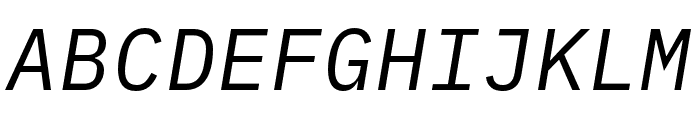 IBM Plex Mono Italic Font UPPERCASE