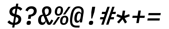 IBM Plex Mono Medium Italic Font OTHER CHARS