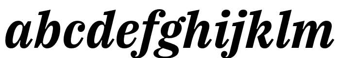 IBM Plex Serif Bold Italic Font LOWERCASE
